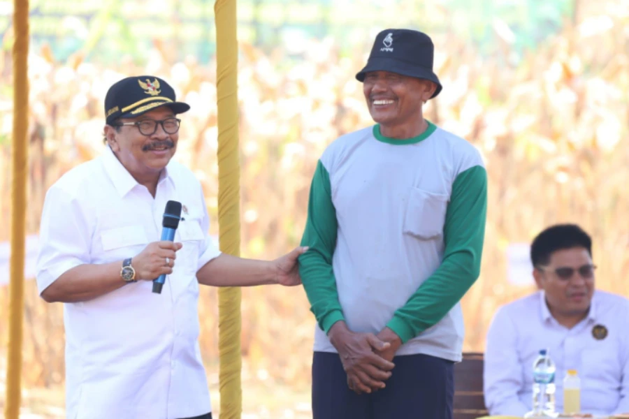 Watimpres Pakde Karwo Panen Jagung di Tuban Pakde Karwo