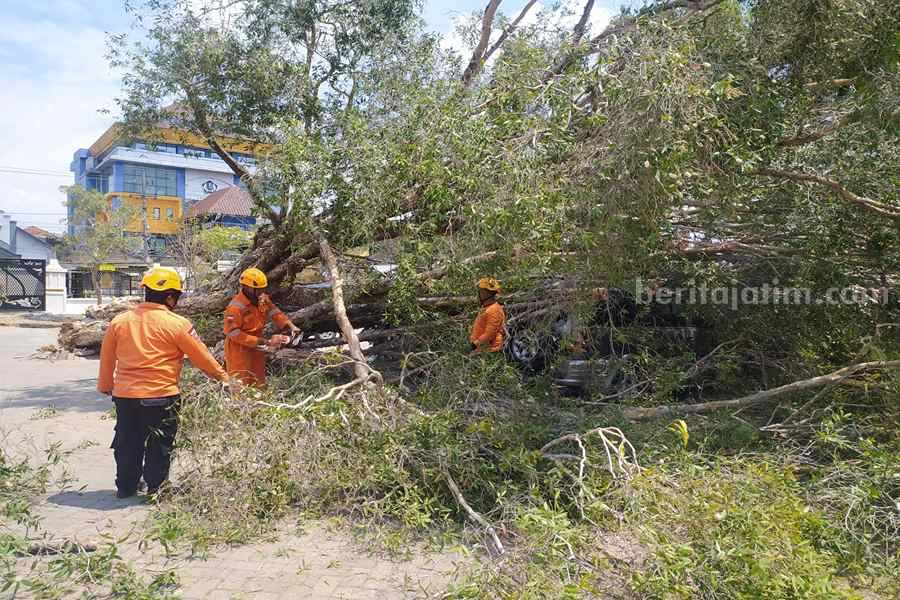 Petugas dari BPBD Ponorogo sedang mengevakuasi mobil yang tertimpa pohon. (Foto/Istimewa)