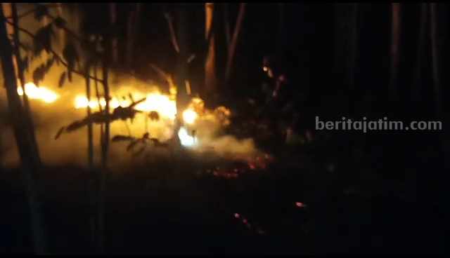 Kebakaran Hutan