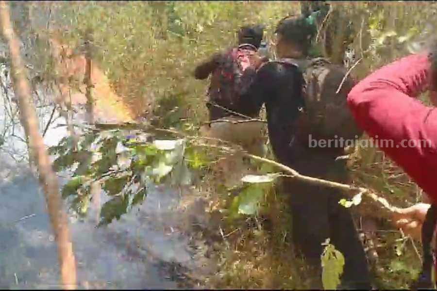 14 Ha Hutan Gunung Lawu di Jogorogo Ngawi Terbakar