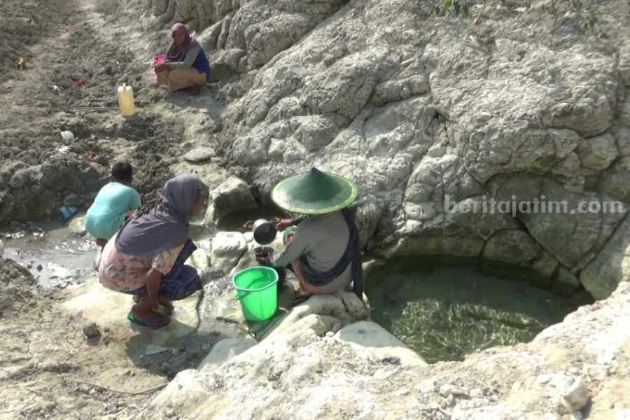 Warga Desa Gandong, Bringin, Ngawi saat mengambil air bersih di lubang pinggir Waduk Pondok, Rabu (6/9/2023)