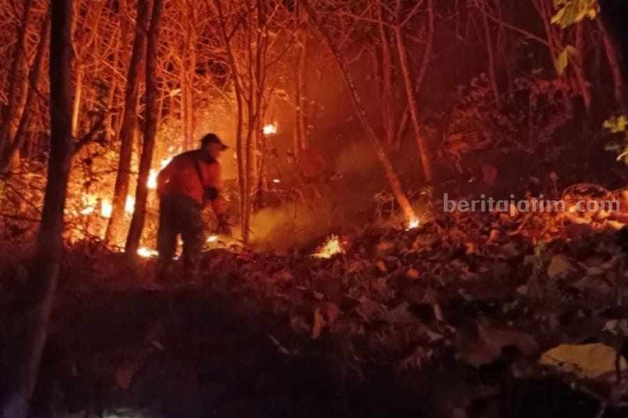 Petugas saat mencoba memadamkan api di Gunung Bancak masuk Desa Garon Kecamatan Kawedanan Magetan, JUmat (8/9/2023) pukul 22.30 WIB