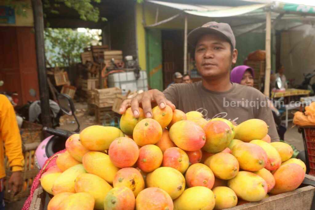 Pedagang Mangga Podang Khas Kediri Marak, Cek Harga Terkini Kediri