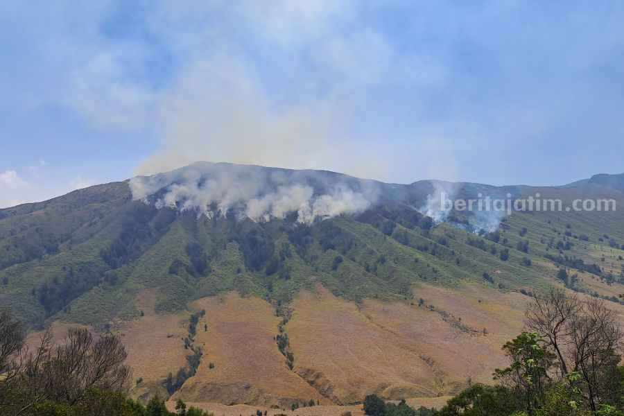 bromo terbakar