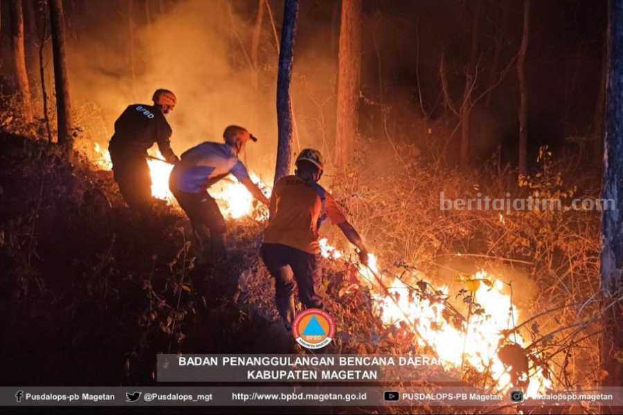 Petugas BPBD Magetan dan personel gabungan saat memadamkan api di kawasan hutan rakyat Desa Banjarpanjang, Ngariboyo, Rabu (20/9/2023)