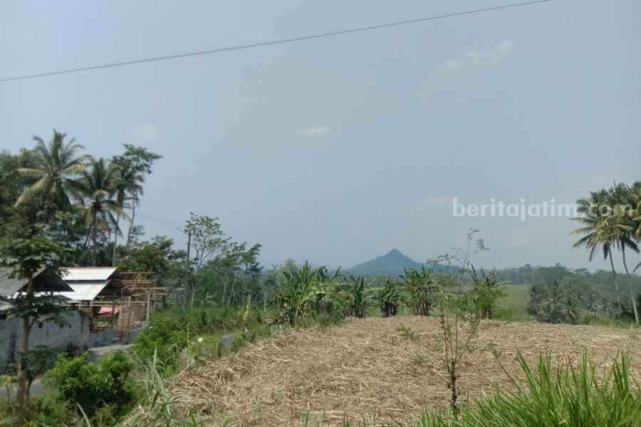 lahan eks bengkok