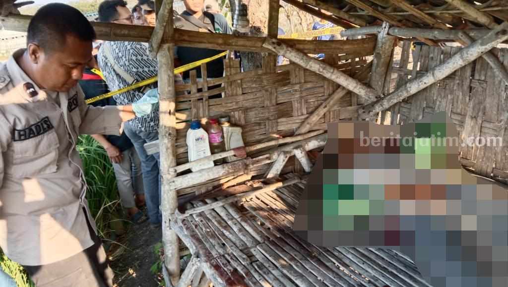 Petugas hendak mengevakuasi korban yang meregang nyawa di gubuk sawah.