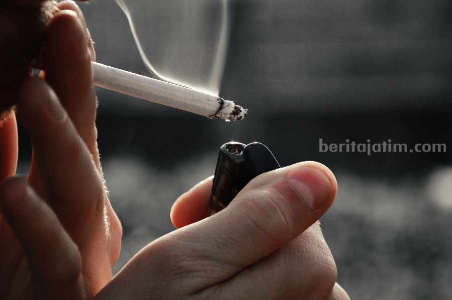Alarm Darurat! 792 Pelajar SD di Banyuwangi Tercatat Perokok Aktif Ilustrasi rokok. (Sumber foto: Geri Tech/pexels.com )