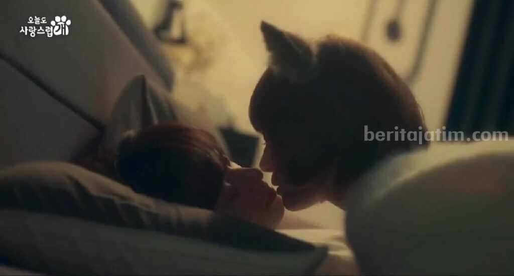 A Good Day to Be a Dog, drama Korea (Drakor) ongoing yang dibintangi Cha Eun Woo dan Park Gyu Young.