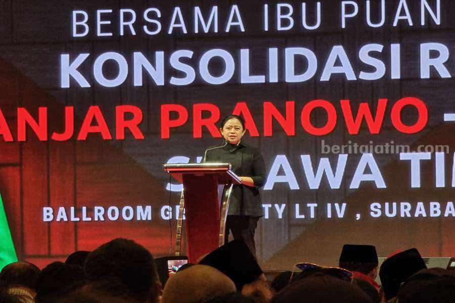 Puan Maharani, Ketua DPP PDIP