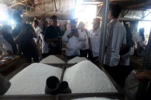 Stabilkan Harga Beras di Sumenep, 1 Bulan Bulog Gelontor 16 Ton Beras SPHP Harga Beras