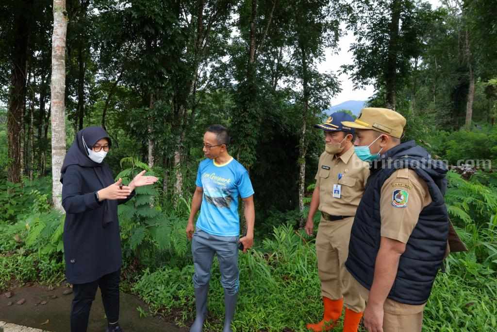Antisipasi El Nino, Banyuwangi Ubah Rencana Tanam