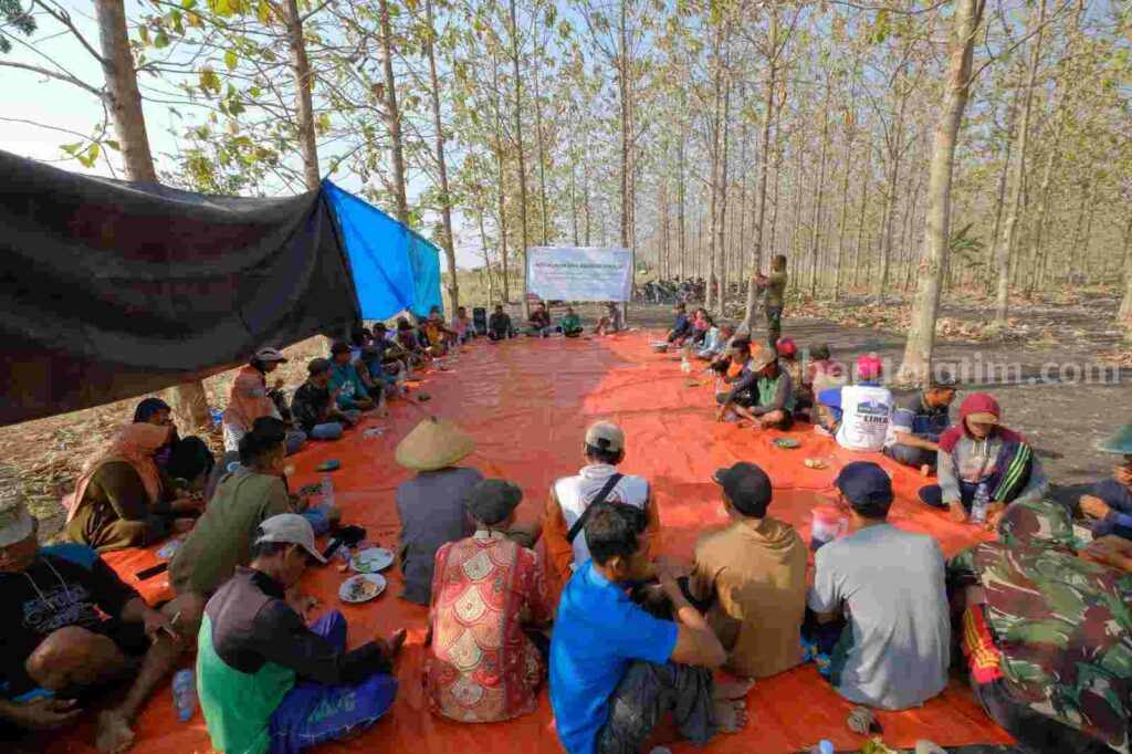 kebakaran hutan