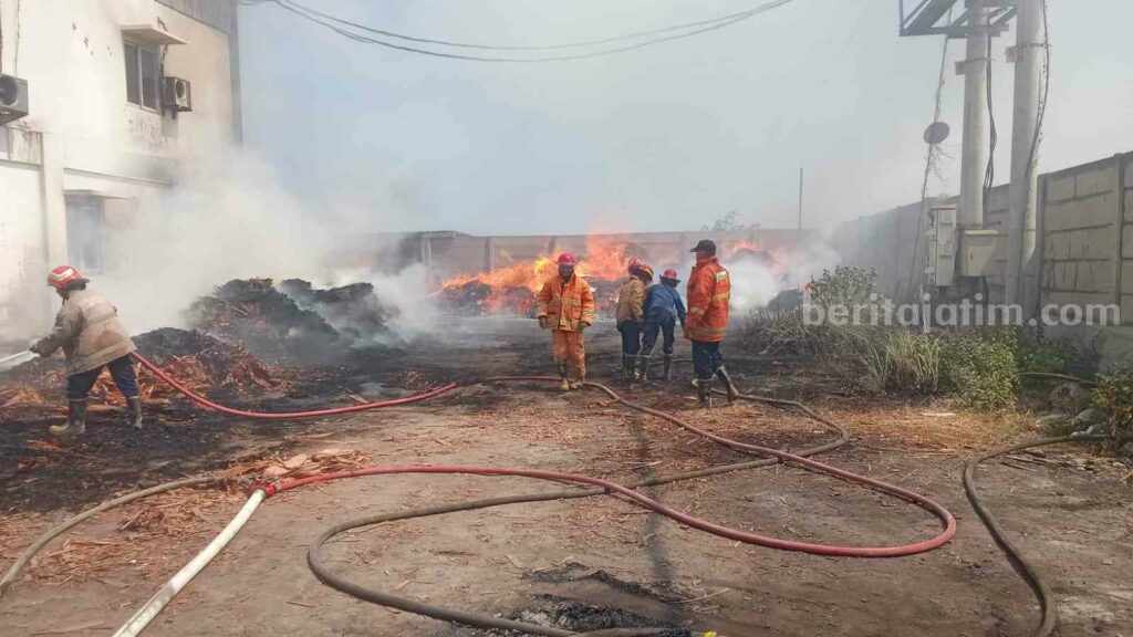 Petugas Damkarla Gresik berjibaku memadamkan api yang melalap sampah limbah kayu