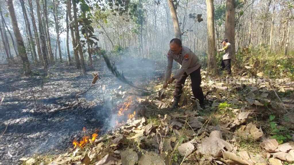 Kebakaran Hutan Jati di Kabupaten Malang Bisa Dipadamkan