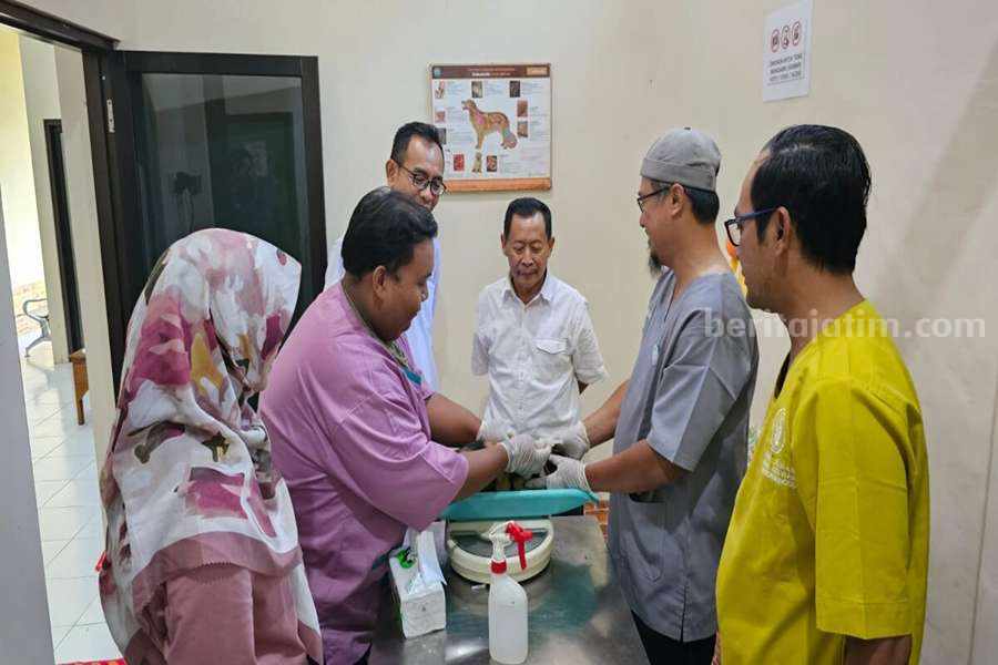 100 Ekor Hewan Peliharaan di Probolinggo Divaksin Rabies probolinggo
