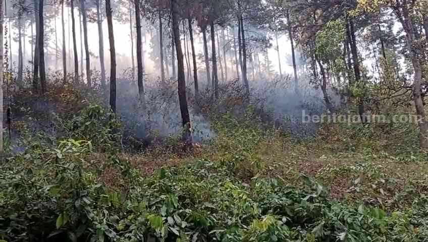 Kawasan hutan di Blok Megolamat Gugusan, Gunung Anjasmoro tepatnya di Desa Begaganlimo, Kecamatan Gondang, Kabupaten Mojokerto yang terbakar. [Foto : ist]