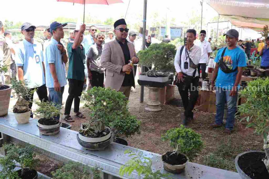 Event tanaman bonsai yang diselenggarkan di Gresik