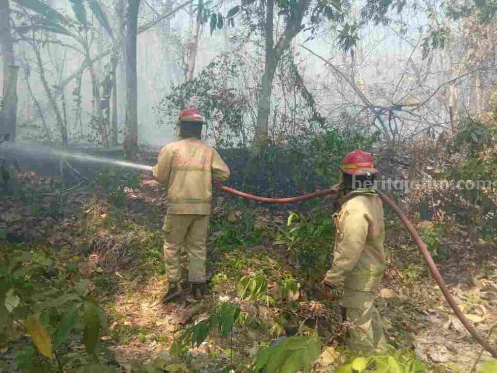 Operasi Pemadaman yang dilakukan oleh Petugas Damkarmat Kabupaten Bojonegoro.
