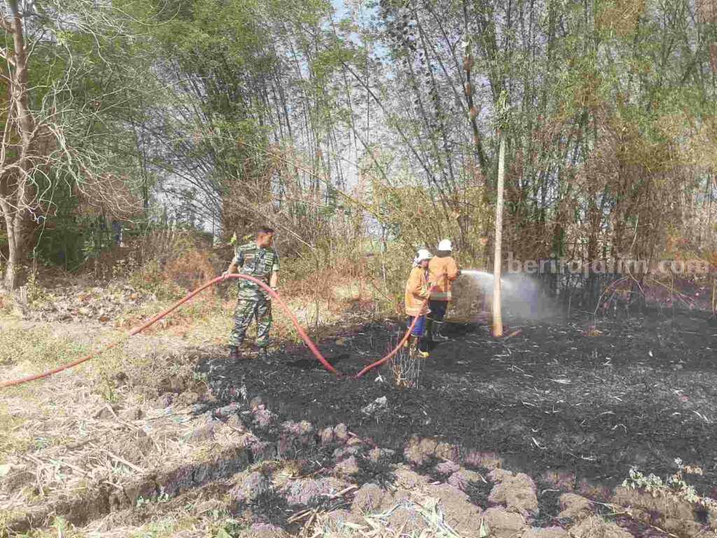 Petugas PMK dibantu TNI/Polri memadamkan api yang membakar lahan rumpun bambu di Desa Mojowatesrejo, Kecamatan Kemlagi, Kabupaten Mojokerto. [Foto : ist]