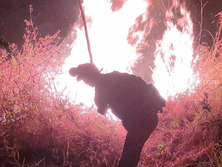 Petugas gabungan melakukan pemadaman di Blok Putuk Kucing Gunung Anjasmoro. [Foto : ist]