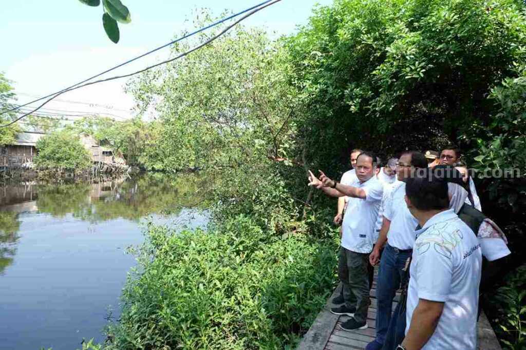 Asal Usul Desa Sukorejo Gresik dan Inspirasinya Kedepan Hutan mangrove Desa Sukorejo yang akan dikembangkan menjadi tempat wisata
