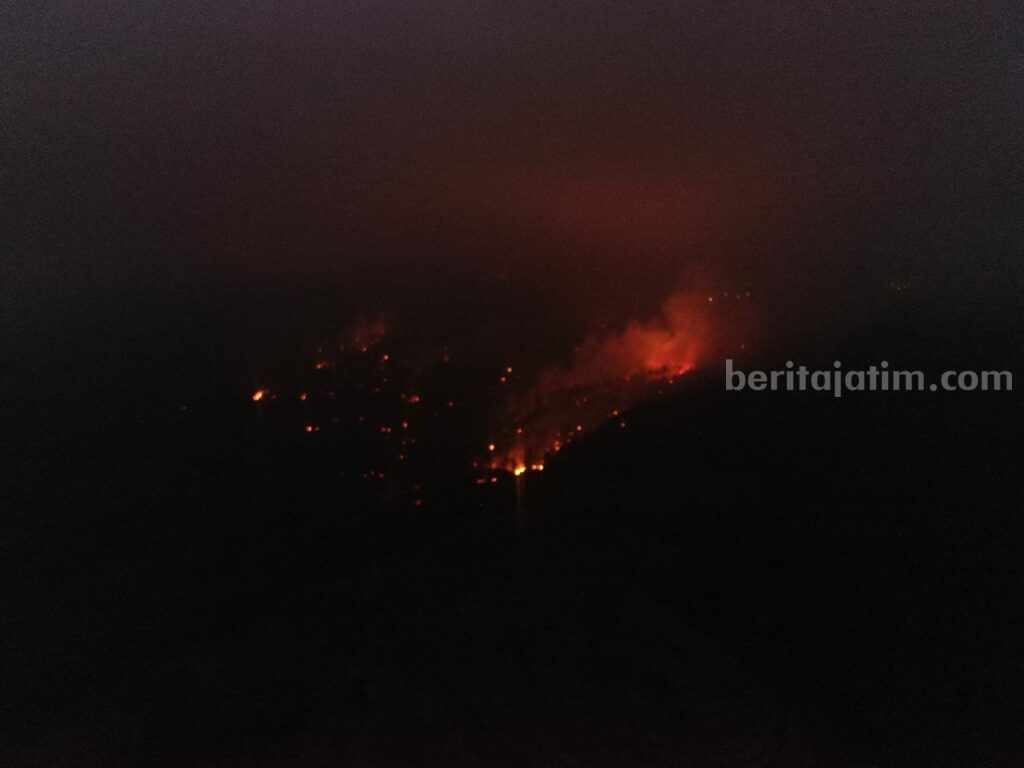 Kebakaran yang terjadi di Gunung Merbabu. (Dok. BNPB)