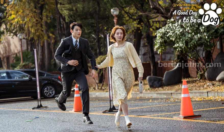 Drama Korea "A Good Day To Be A Dog" yang akan tayang pada November 2023. (Foto: IMDb.com)