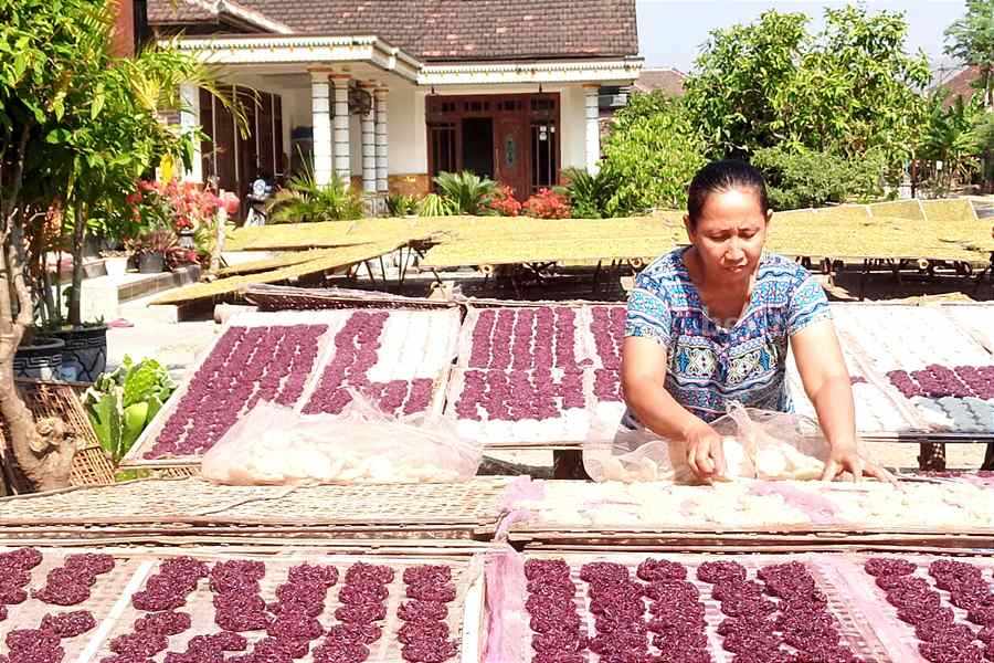 Kriuk Rengginang Buat Warga Desa Purworejo Ponorogo, Cuan Jutaan Rengginang Ponorogo