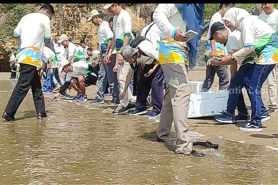 Upaya Pelestarian Ekosistem Laut, Ratusan Tukik Dilepaskan di Pantai Pacitan Pelepasan ratusan tukik dalam rangka HUT ke-28 PT. PLN Nusantara Power di Kabupaten Pacitan. (Foto/Istimewa)