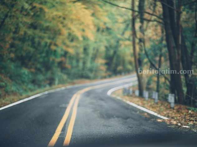 Ilustrasi marka jalan putih. (Sumber foto: Pexels/Craig Adderley)