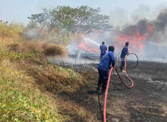 Foto salah satu lahan kosong di wilayah Kabupaten Gresik dilalap api.