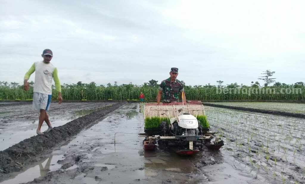 petani banyuwangi