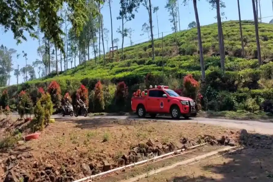 Angin Kencang Api Membesar, Petugas di Ngawi Terpaksa Turun Padamkan Karhutla Gunung Lawu