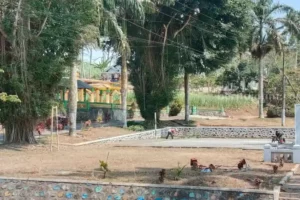 Ribuan Warga Malang Selatan Krisis Air Bersih, Per Kubik Harus Beli Rp40 Ribu Sumbermanjing Wetan