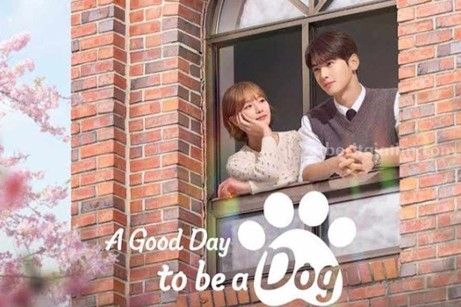 Poster A Good Day To Be A Dog, drama Korea (Drakor) yang tayang Oktober 2023. (Sumber foto: Instagram/Viki)