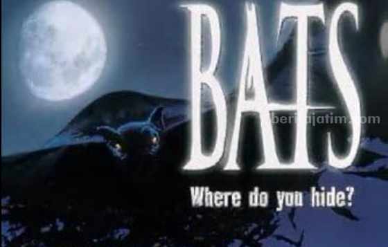 Film Bats. (Sumber foto: IMDb.com)