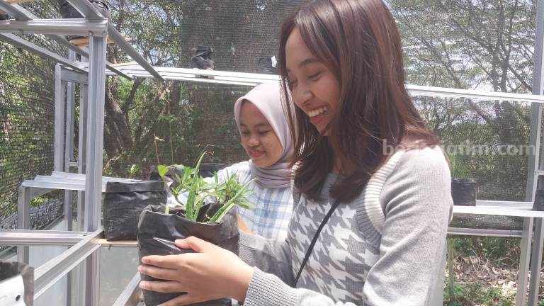 Tim Program Penguatan Kapasitas Badan Eksekutif Mahasiswa (PPK BEM) Fakultas Farmasi Universitas Jember membangun rumah tanaman obat keluarga (toga) di lereng sebuah bukit, di Desa Curahnongko, Kecamatan Tempurejo, Kabupaten Jember, Jawa Timur.