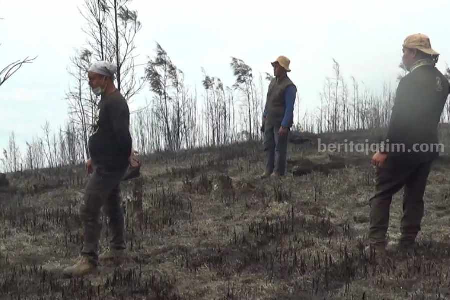 Hutan Gunung Lawu