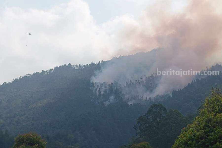 Kebakaran hutan di RPH Bedagung masuk Desa Ngiliran, Kecamatan Panekan, Magetan, Sabtu (7/10/2023).