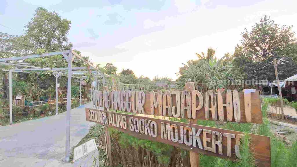 Wisata Anggur