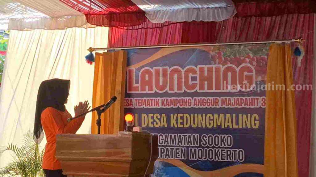 Bupati Mojokerto Ikfina Fahmawati saat lunching Desa Tematik Kampung Anggur Majapahit 3 di Desa Kedungmaling di Kecamatan Sooko, Kabupaten Mojokerto. [Foto : Misti/beritajatim.com]