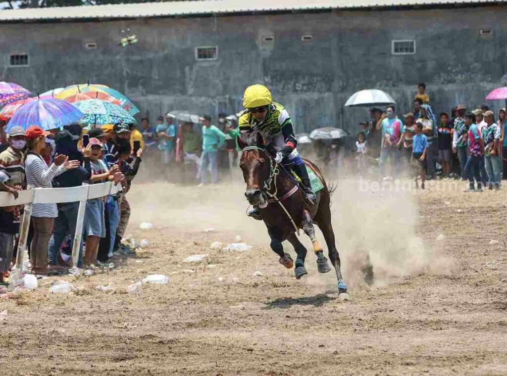 Meriah, Peserta Pacuan Kuda Piala Bupati Kediri Membeludak WhatsApp Image 2023-10-30 at 07.31.39_11zon