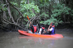 Amazon Banyuwangi