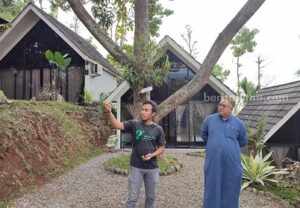 dedurian park