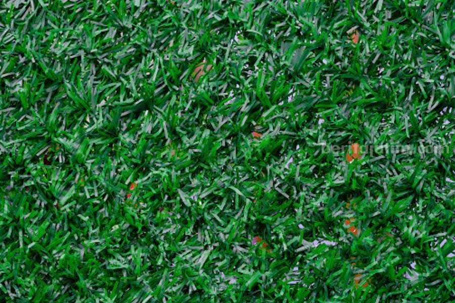 Ilustrasi rumput sintetis yang dikabarkan bisa picu kanker. (Pexels)