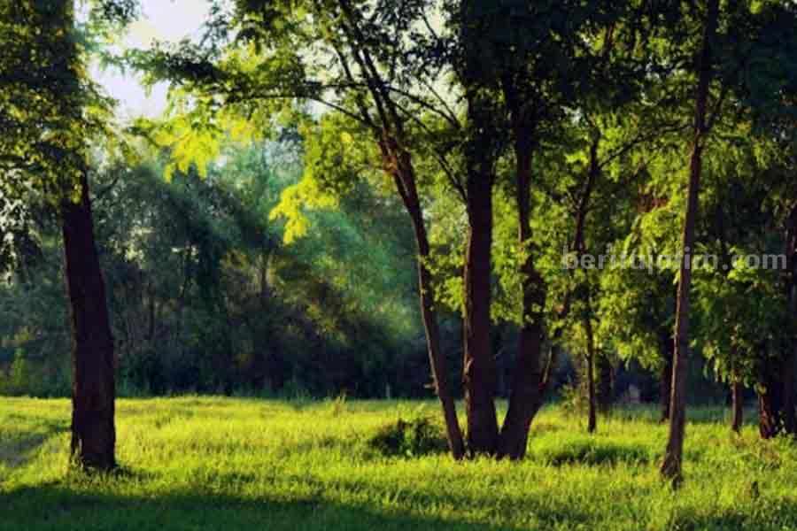Ilustrasi wisata hidden gem di Bojonegoro. (Sumber foto: Pexels/bill white)