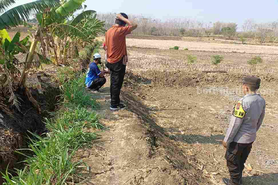 Nenek di Lamongan Ditemukan Tewas di Tengah Sawah Penemuan mayat seorang nenek di tengah persawahan Lamongan.