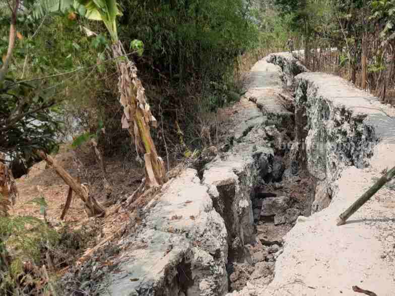 Puluhan Meter Tanggul Sungai Bengawan Solo di Bojonegoro Merongga