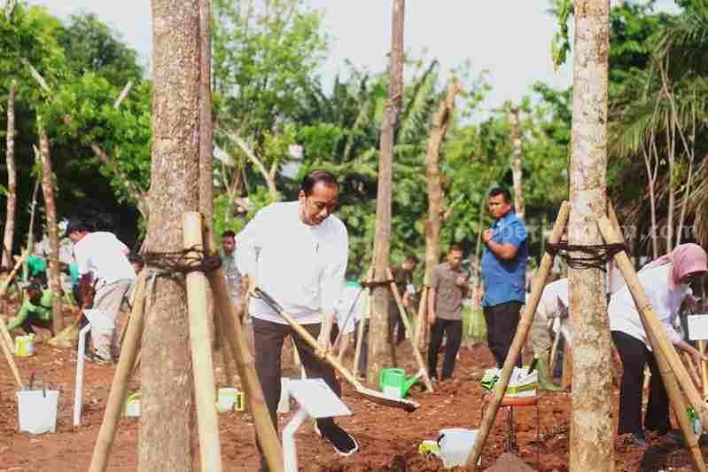 Astra Kembali Berpartisipasi di Gerakan Tanam Pohon Bersama Astra